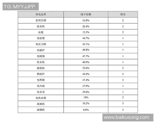 杭州排球队速度分析与战术创新的深度探讨与展望